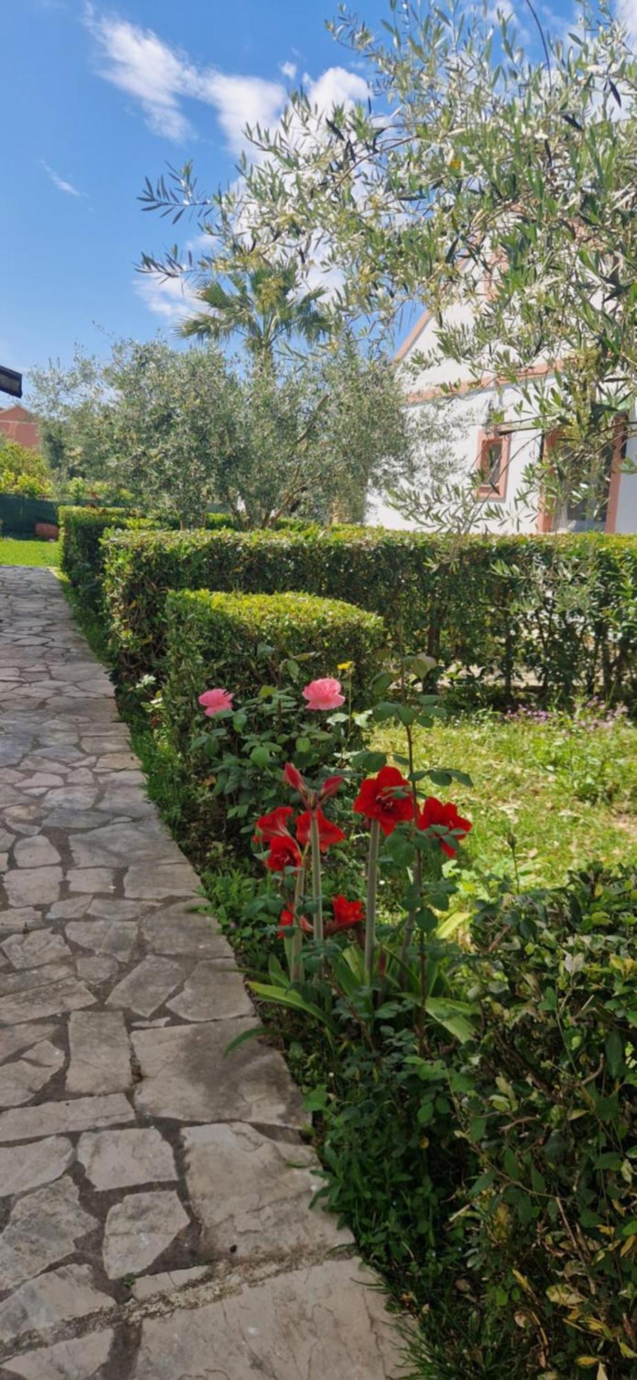 Corfu Studio 4U Ρόδα Εξωτερικό φωτογραφία